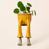 🔥🎁🌸Creative furniture flower pot