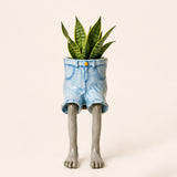 🔥🎁🌸Creative furniture flower pot