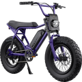Electric Mountain Bike