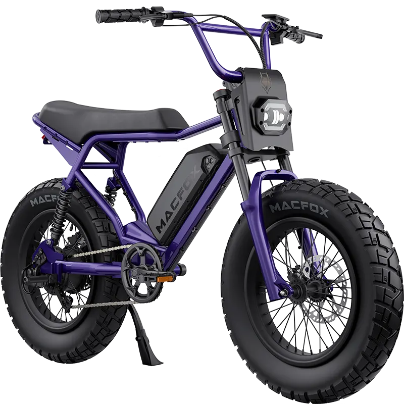 Electric Mountain Bike